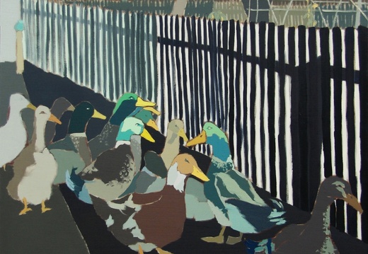 Kaczki,120x120cm,olej na płótnie,2015 (Ducks,120x120cm,oil on linen,2015) (1022x1024)