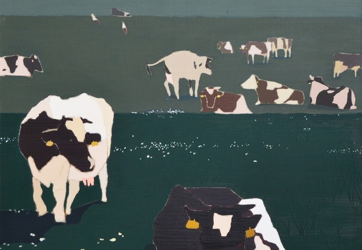 Krowy,120x120cm,olej na płótnie,2014 (Cows,120x120cm,oil on linen,2014) (1022x1024)